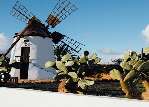 Hôtel Ôclub Experience Occidental Jandia Mar 4* - 19