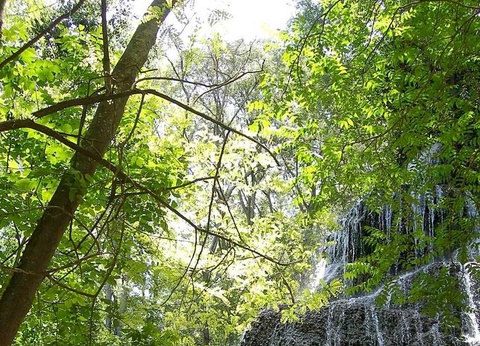 Camping Lago Resort - 29