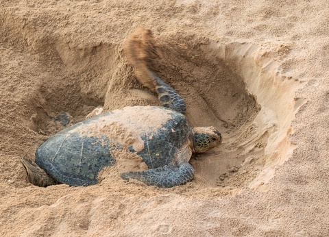 Circuit L'âme d'Oman : des oasis secrètes aux cimes du Jebel Shams - 12
