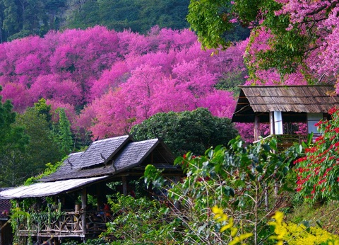 Ramada Khao Lak Resort 5* - 16