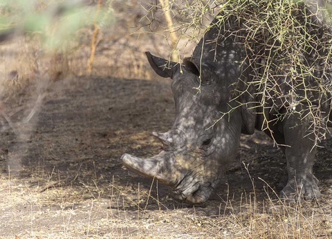 TUI Sélection Hôtel Les Filaos - Choix Flex **** - 35