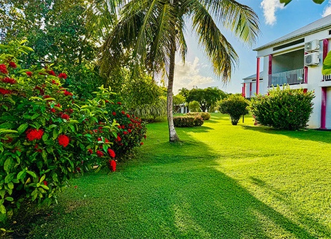 Résidence hôtelière Résidence Le Vallon Guadeloupe - 13