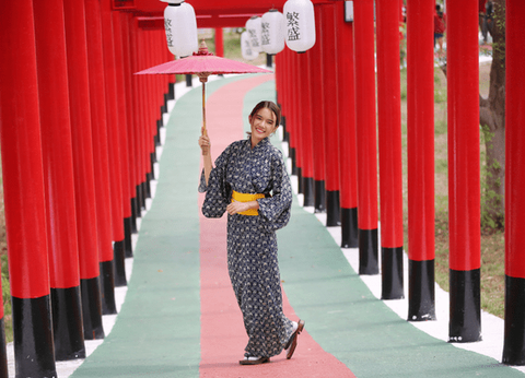Circuit De la Corée au Japon, Matin Calme et Soleil Levant.. - 35