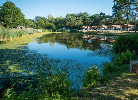Camping Paradis la Bretonnière, 4* - 31