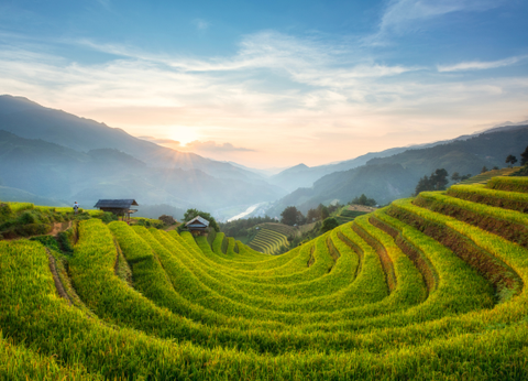 Circuit Aux origines du Vietnam : de Mu Cang Chai à Ta Giang Phin - 22