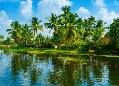 Circuit Charmes de l'Inde du Sud - 27