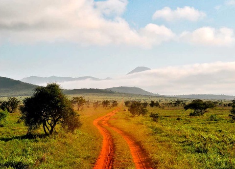 Circuit Safari Kilimandjaro 4* - 12