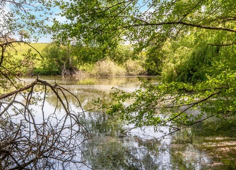 Camping les Etangs du Plessac 4* - 58