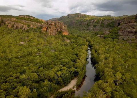 Mosaïque australienne - 15