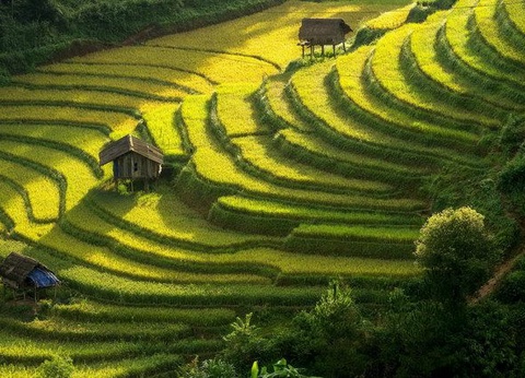 VIETNAM INTIMISTE EXT CAMBODGE - 4