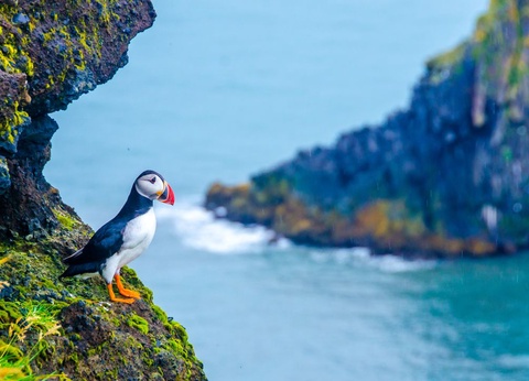 L'Islande en majesté - 5