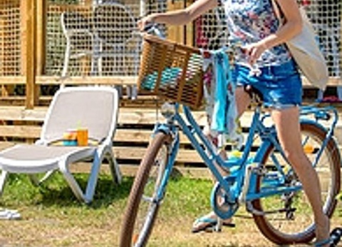 Flower Camping Les Paludiers, 4* - 25