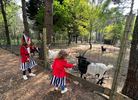 Camping Les Bruyères Carnac 3* - 29