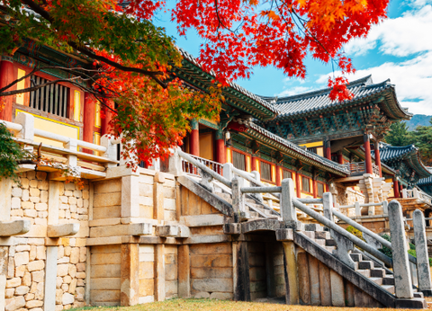 Circuit De la Corée au Japon, Matin Calme et Soleil Levant.. - 7