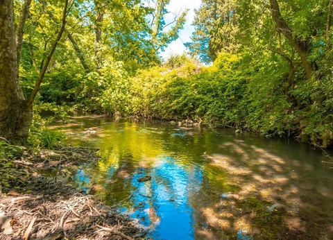 Flower Camping Les Tomasses, 4* - 16