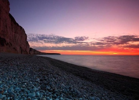 Flower Camping Vitamin, 4* - 35