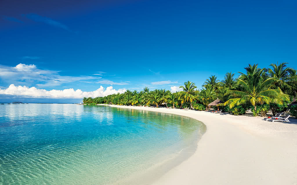 Hôtel Sheraton Maldives Resort Spa 5* - 9