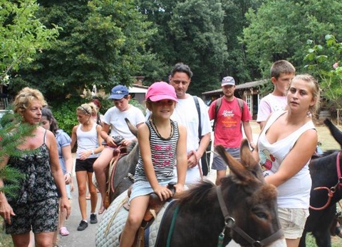 Camping La Berge Fleurie, 4* - 22