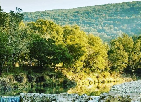 Flower Camping Le Riviera, 4* - 36