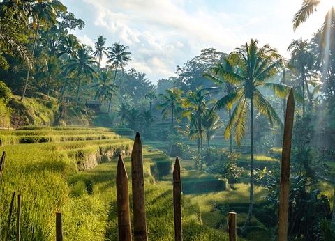 Circuit Irrésistible Bali 3/4* - 4