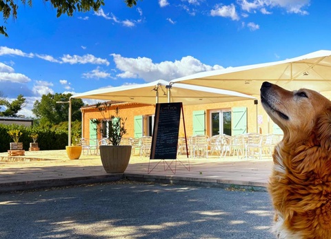 Camping Tikayan Oxygene, 3* - 11