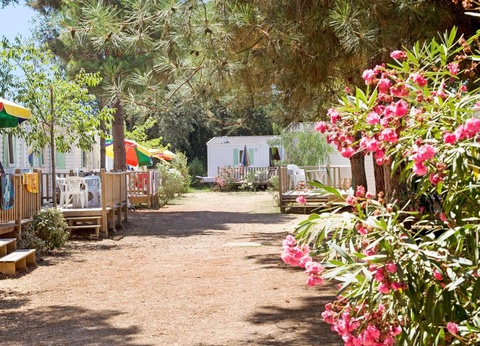 Camping Via Romana, 3* - 24