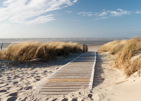 Camping Les Salins de la Gardiole 4* - 20