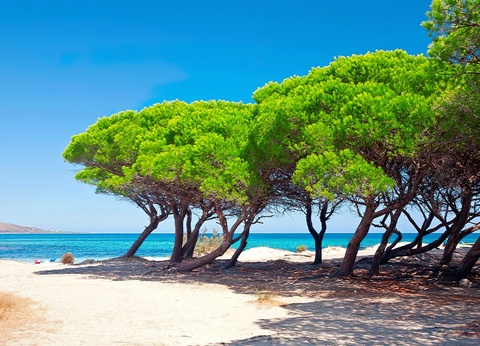 Ôclub Experience Cala Fiorita 4* - 15