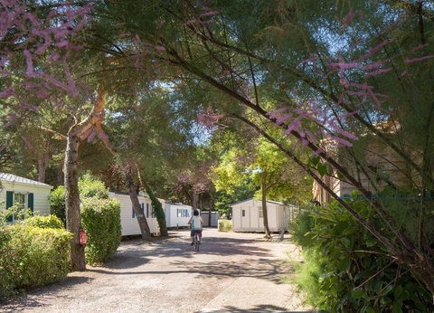 Camping Le Suroit 4* - 18