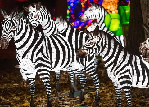 Week-end avec entrée au ZooSafari de Thoiry 4* - 17