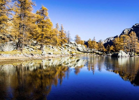 Camping Le Mas Fleuri, 2* - 20