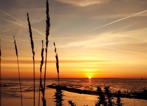 Camping Au Pigeonnier, 4* - 18