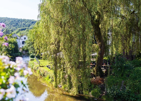 ÉVadez-vous dans les Ardennes - 4* - 18