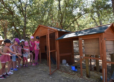 Domaine De La Bergerie, 5* - 86