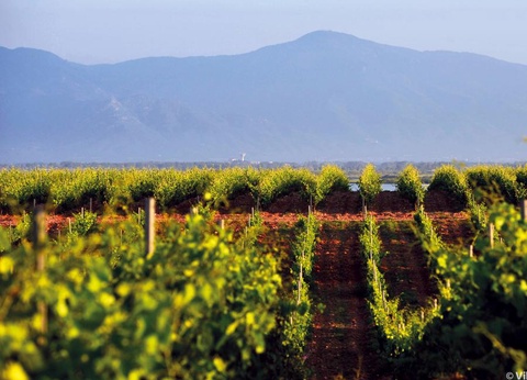 Camping SUNELIA Ma Prairie, 4* - 94