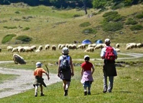 Camping Barétous Pyrénées 4* - 41