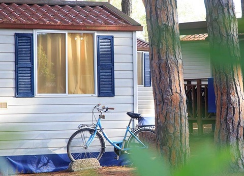 Camping Pineta sul Mare, 3* - 105