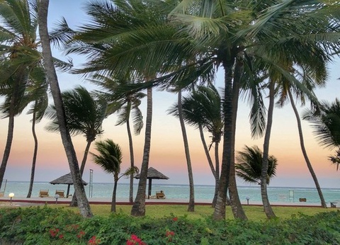 Hôtel Diani Reef Beach Resort 3* - 17