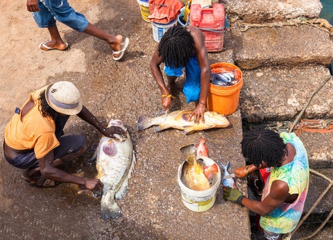 Circuit Trésors du Cap Vert 4* - 12