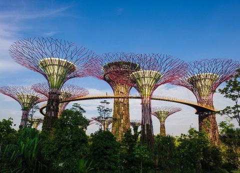 PENINSULE ETINCELANTE - 3