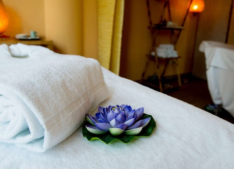 Escapade relaxante avec demi-pension et accès à l'espace bien-être - 4* - 19