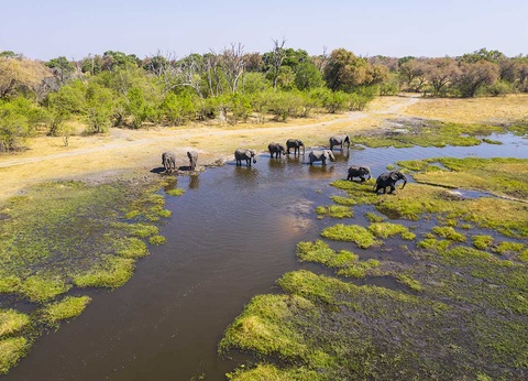 Circuit Inoubliable Botswana - 9