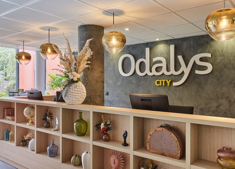 Appart'hôtel Signature Odalys City Bioparc Lyon Est - 27