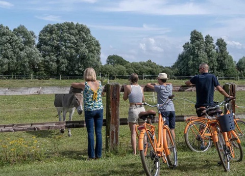 Flower Camping les Aubepines, 4* - 34