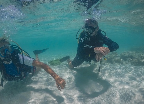 Hôtel Filitheyo Island Resort 4* - 8