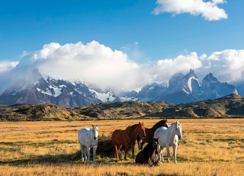 Circuit De l'infini d'Atacama aux légendes d'île de Pâques - 10