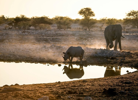 Circuit Éclats de l'Afrique australe **** - 17
