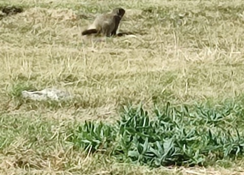 Camping Le Champ Long, 3* - 14