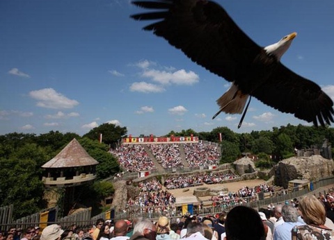 Camping Le Rouge Gorge 4* - 16