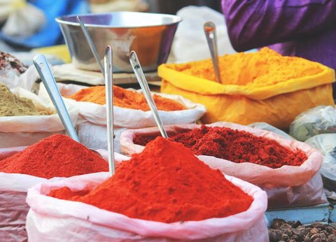 Circuit Sur les pas des Maharajas et le Népal - 13